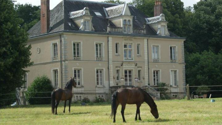 فندق Domaine De Bel Air Cérans-Foulletourte المظهر الخارجي الصورة
